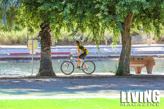 Biking Lake Havasu City