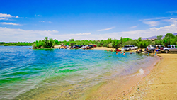 Things to do in Lake Havasu - Swimming