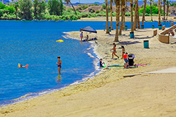 Things to do in Lake Havasu - Swimming