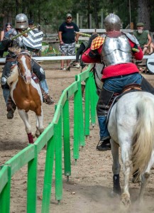 Hailing all the way from Spokane, Washington, the Epona Equestrian Team will entertain and amaze all in attendance. After all, what kind of renaissance Faire would it be without a Joust?